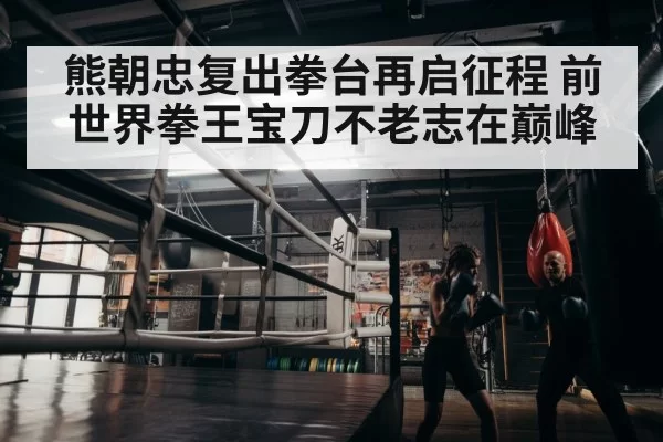 熊朝忠复出拳台再启征程 前世界拳王宝刀不老志在巅峰
