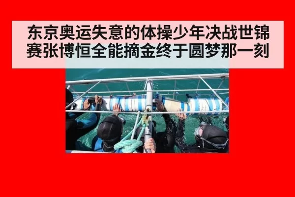 东京奥运失意的体操少年决战世锦赛张博恒全能摘金终于圆梦那一刻